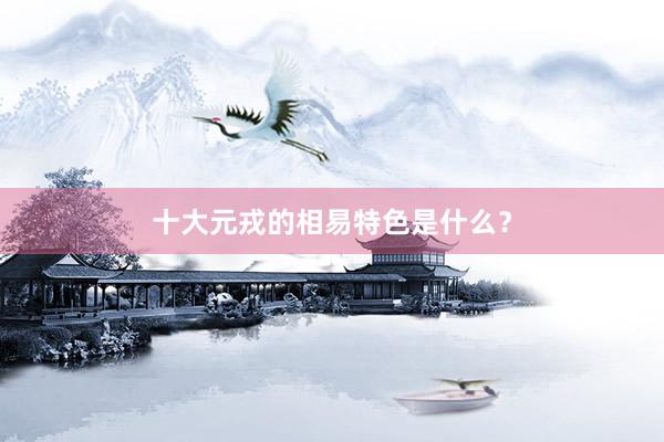 十大元戎的相易特色是什么？