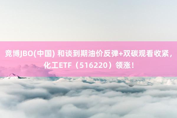 竞博JBO(中国) 和谈到期油价反弹+双碳观看收紧，化工ETF（516220）领涨！