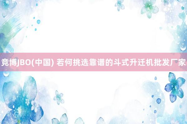 竞博JBO(中国) 若何挑选靠谱的斗式升迁机批发厂家