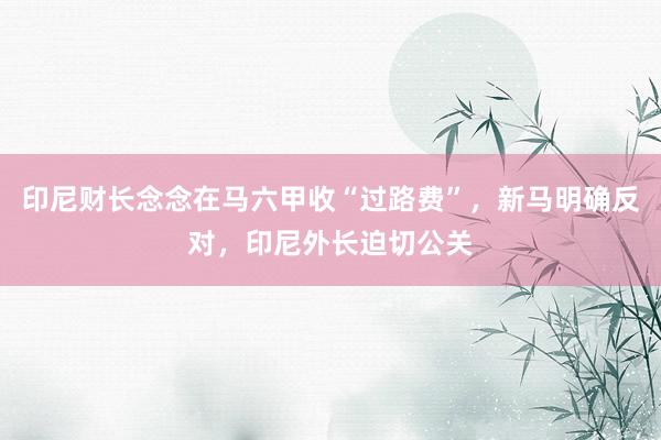 印尼财长念念在马六甲收“过路费”，新马明确反对，印尼外长迫切公关