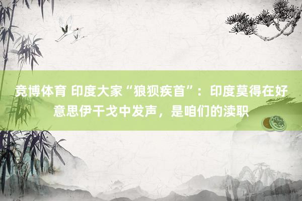 竞博体育 印度大家“狼狈疾首”：印度莫得在好意思伊干戈中发声，是咱们的渎职
