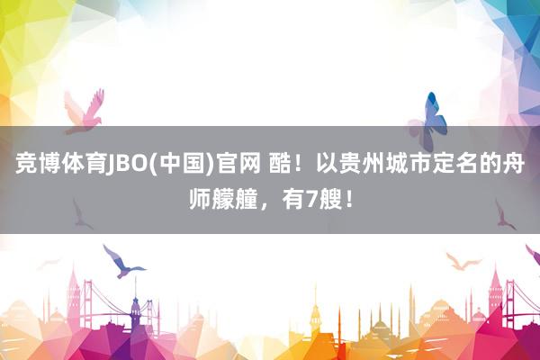 竞博体育JBO(中国)官网 酷！以贵州城市定名的舟师艨艟，有7艘！