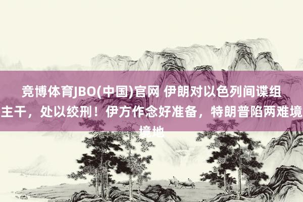 竞博体育JBO(中国)官网 伊朗对以色列间谍组织主干，处以绞刑！伊方作念好准备，特朗普陷两难境地