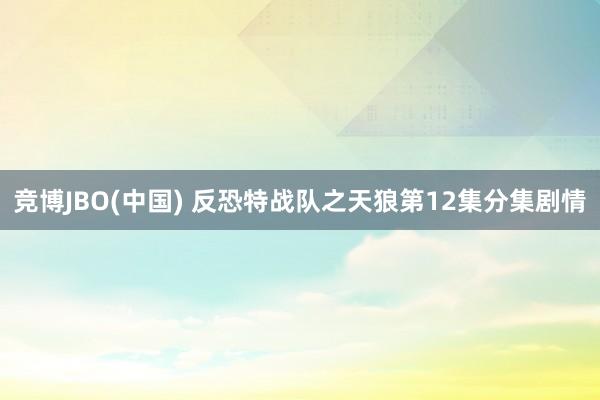 竞博JBO(中国) 反恐特战队之天狼第12集分集剧情
