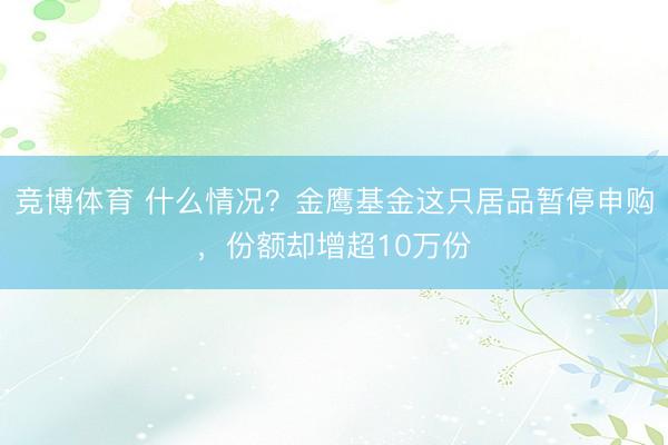 竞博体育 什么情况？金鹰基金这只居品暂停申购，份额却增超10万份