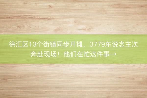 徐汇区13个街镇同步开摊，3779东说念主次奔赴现场！他们在忙这件事→